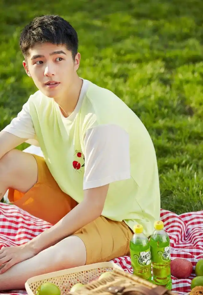 颇具辨识度的长相以及清新的少年气息为刘昊然吸引了不少