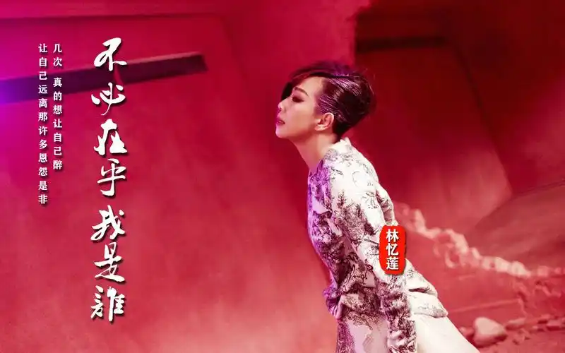 林忆莲《不必在乎我是谁》这是在《歌手》中的那个版本