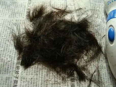 头发是什么垃圾?如何处理掉落在地上的头发?