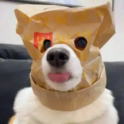 头像图片2023最火爆萌宠_动物头像_头像屋