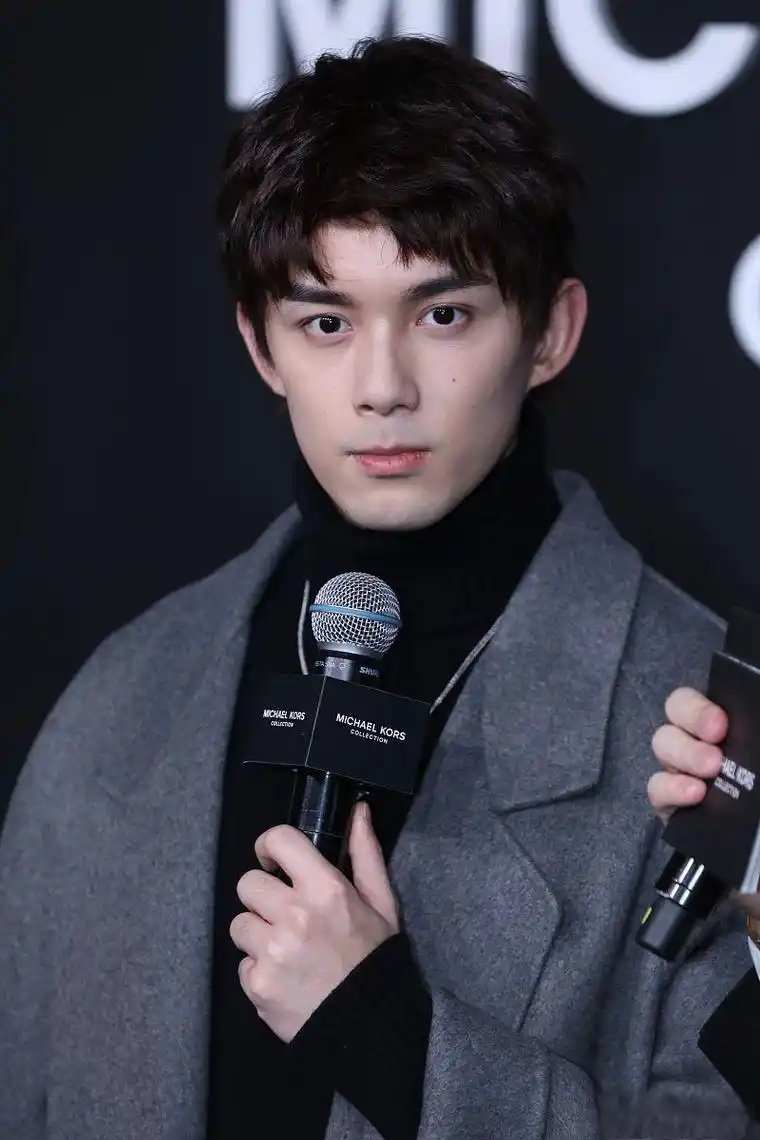 吴磊参加"东京电影节",颜值过高太帅气 吴磊参加东京电影节,他的颜值