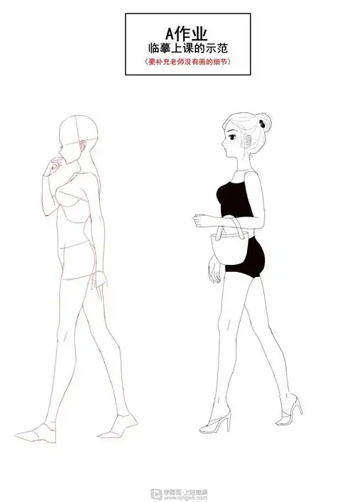 侧面的人体结构和细化