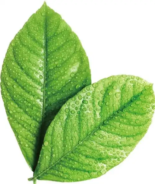 【报名】第三届中国(浙江)环保博览会"我是低碳环保