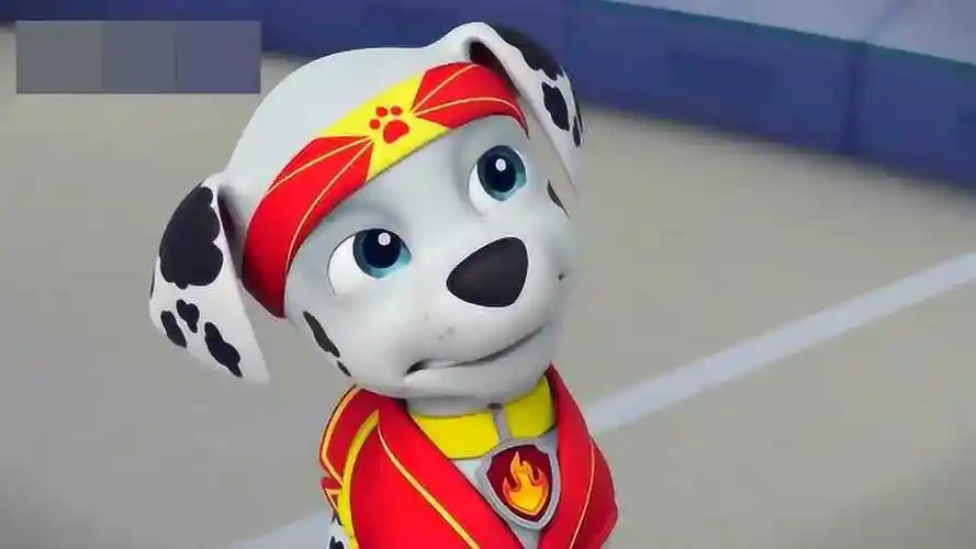 汪汪队立大功 毛毛:希望风快点停,我好参加考试,我好想拿到绿带哦