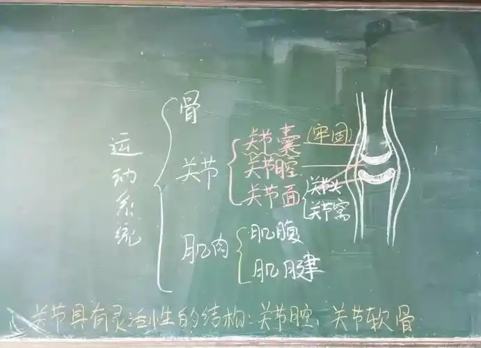 总第45期小黑板大智慧青岛四十九中教学节之板书设计比赛