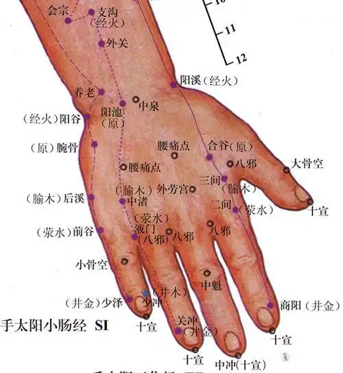 一针治疗失枕,肋部,前胸后背各种原因引起的疼痛