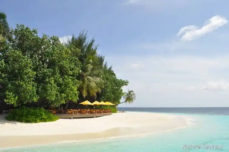 马尔代夫的科学探索:揭开热带海洋的神秘面纱_保护_海域_研究