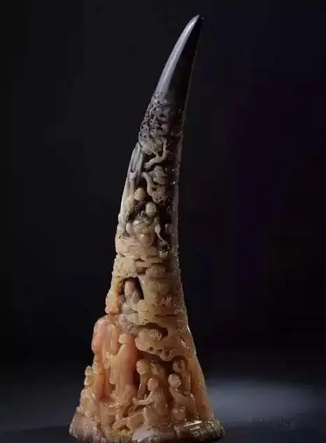 传承悠久的珍宝犀角为什么珍贵