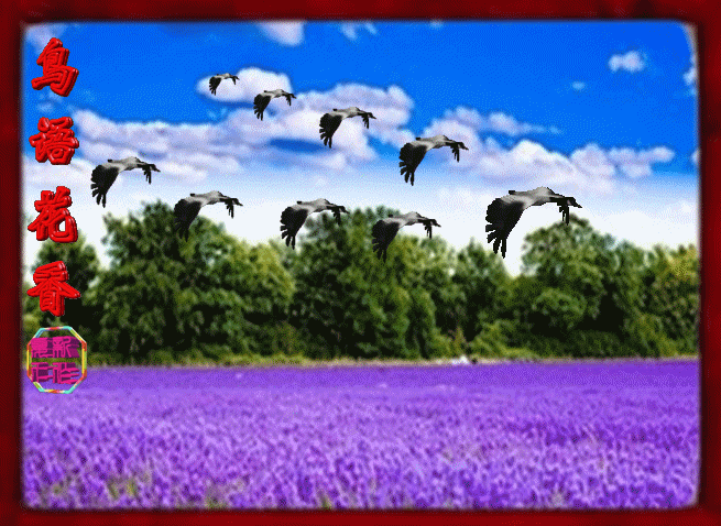 春暖花开,鸟语花香 (动感美景欣赏.