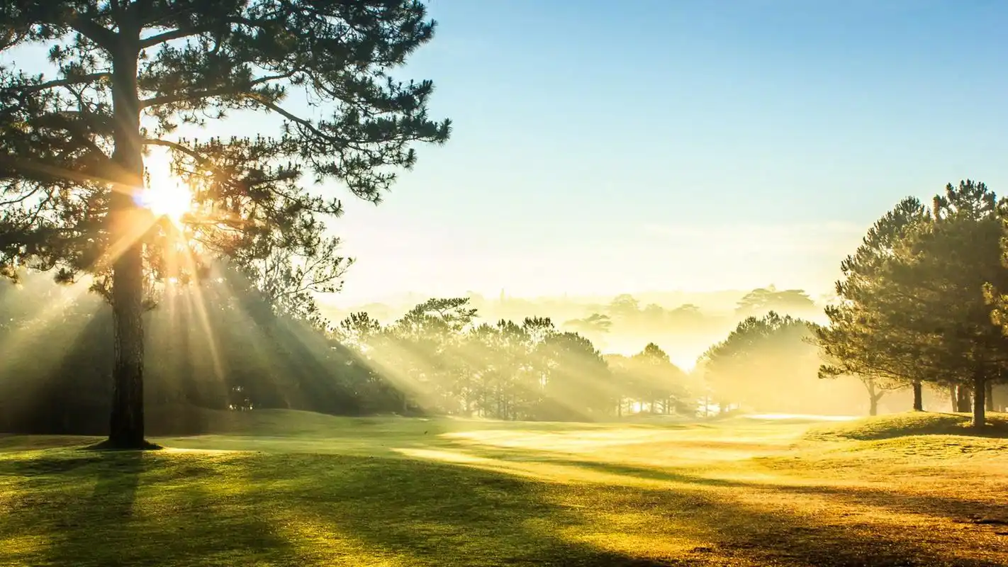绿色养眼自然风景图片桌面壁纸
