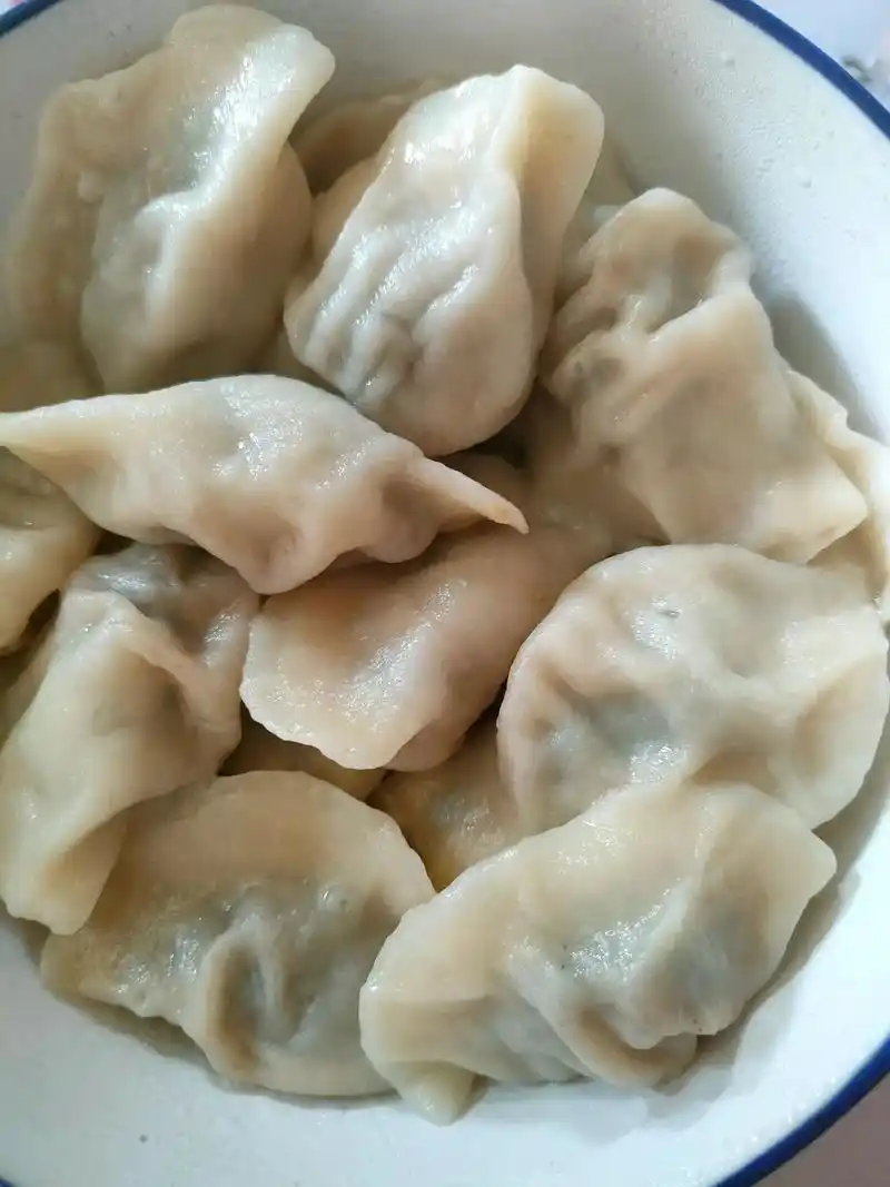 一日三餐人间烟火简单而美味 手工饺子,吉祥饺子如意的馅 ! - 抖音