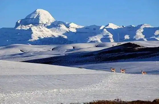 中国最美四大无人区,你敢去吗?