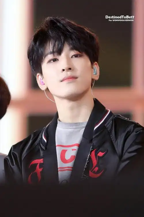 seventeen成员们帅气的单人照