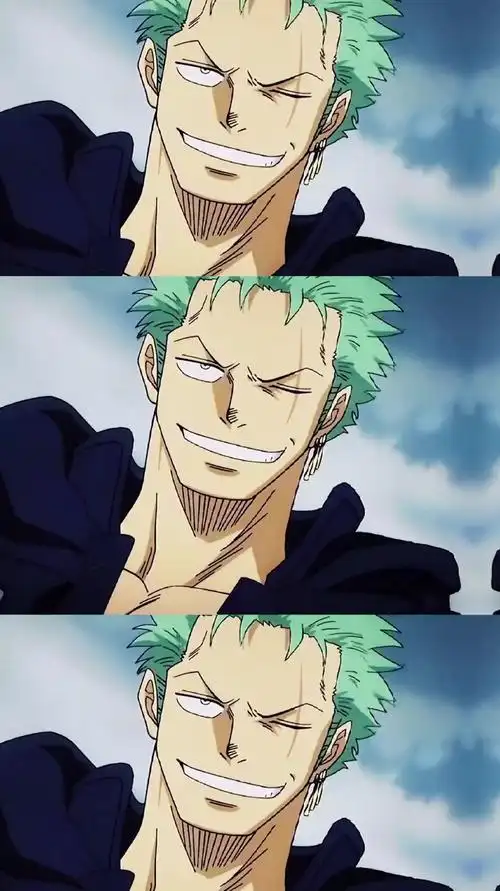 航海王和之国的 索隆是最帅的吧