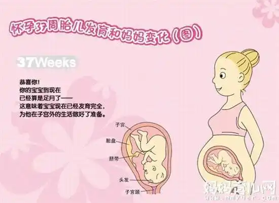 胎儿入盆了是什么意思对于胎儿入盆孕妈要做何准备2