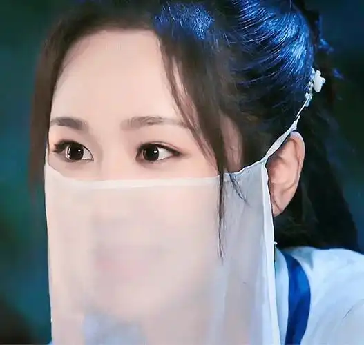 古装面纱美女收集只放图不评论也不要攻击演员严禁歪楼