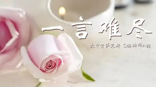 伤感情歌《一言难尽》,萨克斯精彩演奏,爱情的苦涩细细品味!