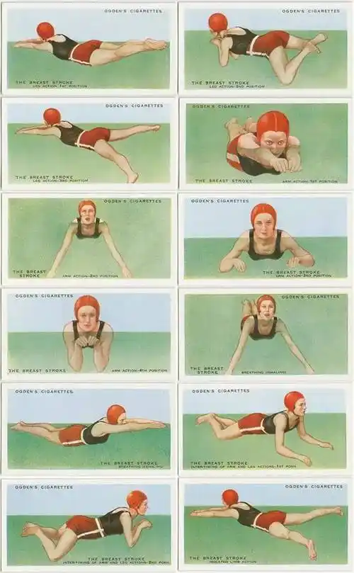 不会游泳的看过来四种泳姿系列游泳教程旱鸭子游泳俱乐部