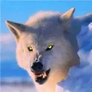 狼头像图片大全 霸气恐怖的高清狼头像图片_动物头像_520头像网