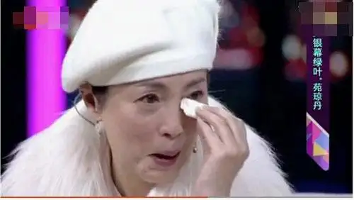 石榴姐苑琼丹家暴富豪老公 砸对方头逼其离婚