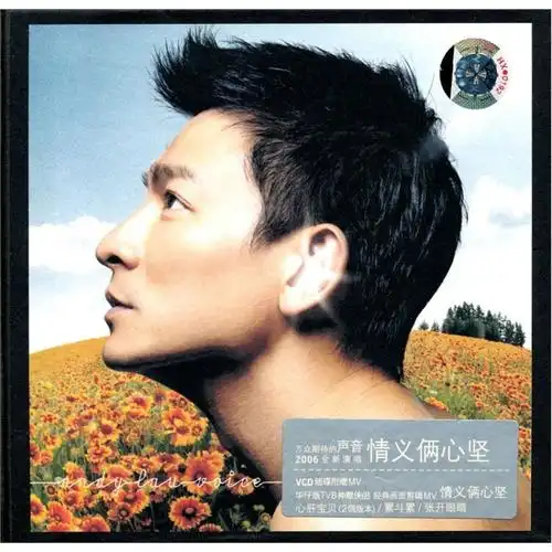 刘德华声音庆功版cdvcd