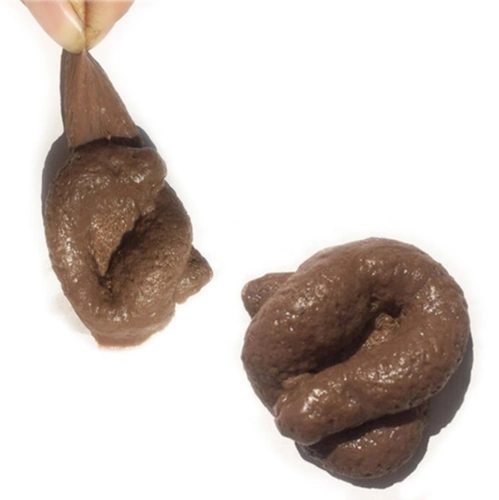 现实的狗屎礼物有趣的玩具大便一块狗屎恶作剧减压小工具 squish 玩具