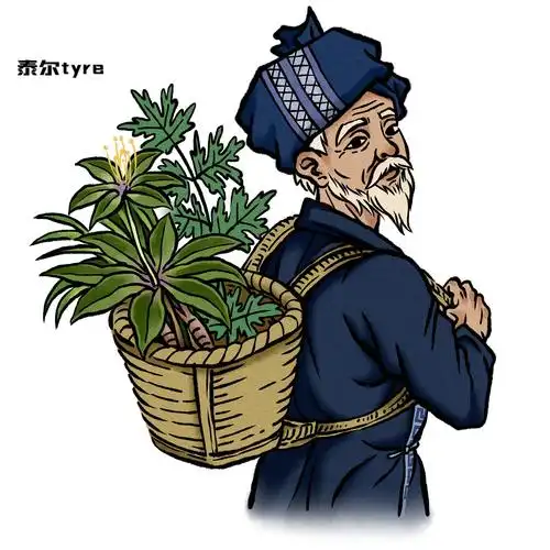 【苗药-重楼】包装插图