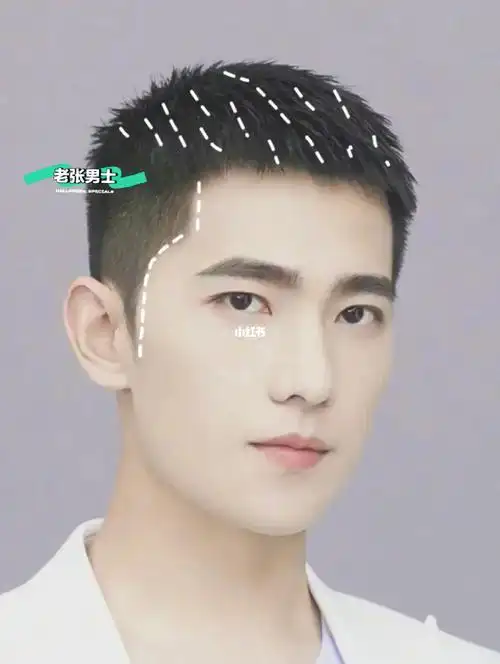 栗子头与寸头的结合版