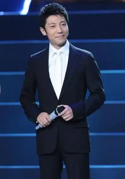 男主持人名单大全(9位央视著名男神主持人的介绍)-趣事杂谈