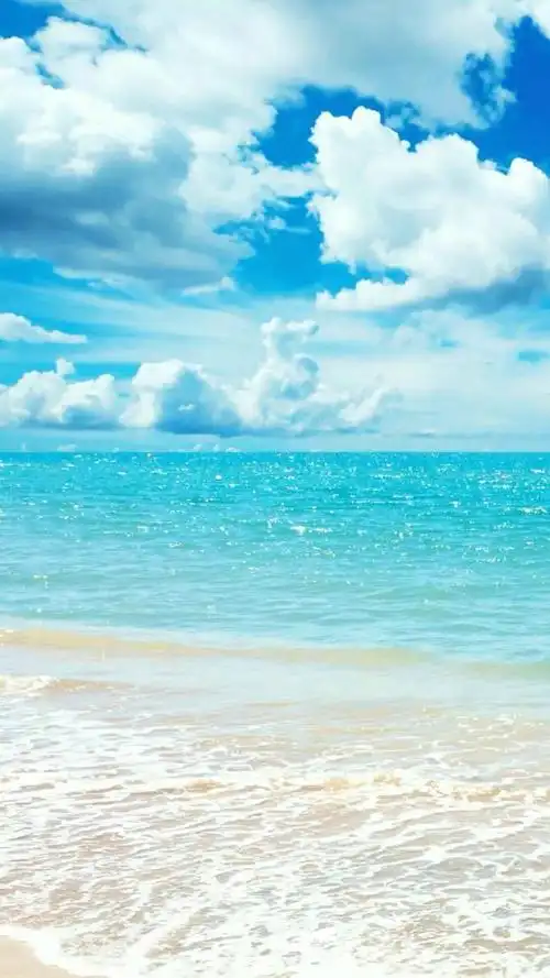 高清无水印,可做壁纸的美图欣赏,请查收呦!