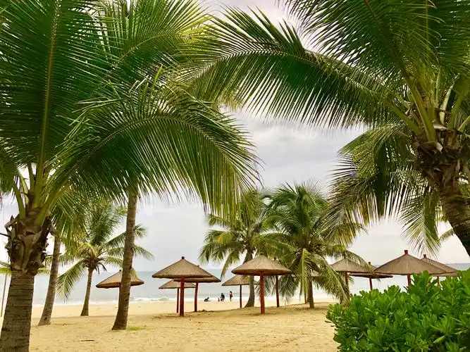 三亚风光.海南的标志椰子树