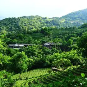 三洲茶园门票,深圳三洲茶园攻略/地址/图片/门票价格【携程攻略】