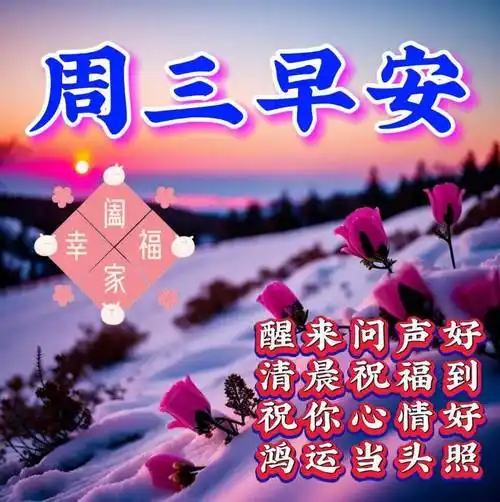 周三早上好最新版漂亮星期三早安祝福语表情图片大全问候语段句子