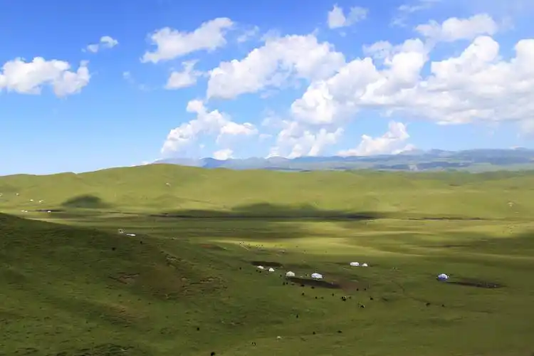 这里地处青藏高原东北部边缘,东南与黄土高原相接,总面积4.
