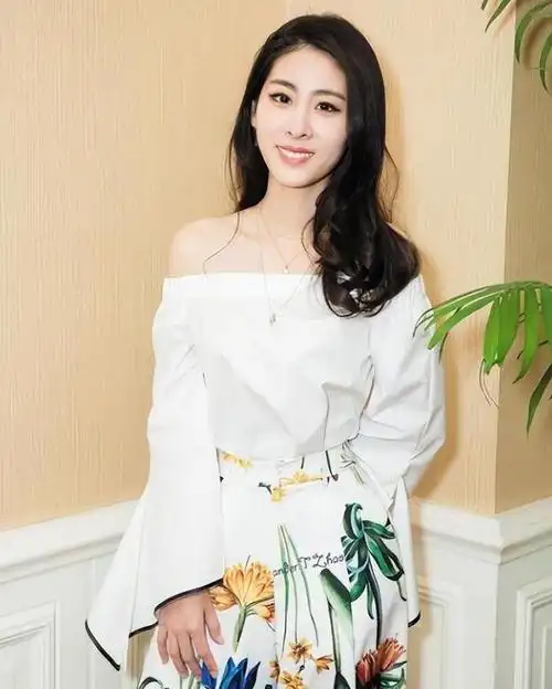 精明的张碧晨:不要名分只要孩子,看似一无所有,但其实赢了一切