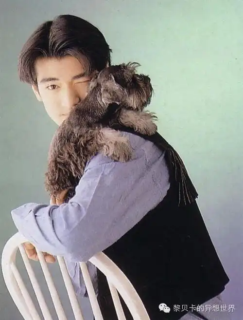 用金城武来缩短与世界的距离