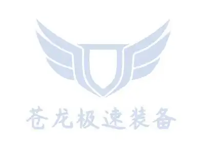 苍龙极速装备logo设计