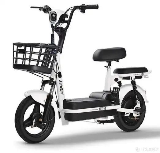 小电驴我选台铃_电动车整车_什么值得买