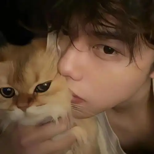 帅帅的男生头像