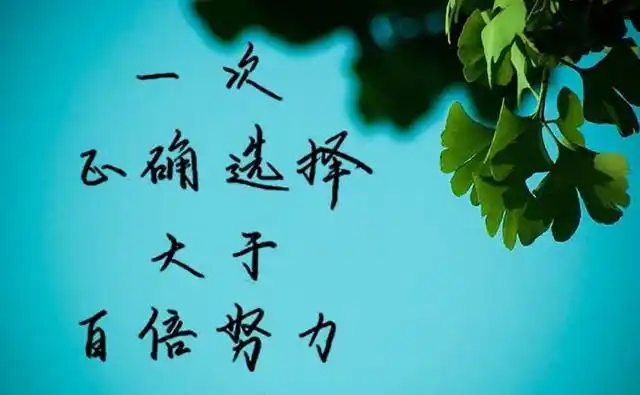 选择大于努力的名言一次正确选择大于百倍努力手写君
