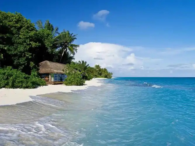 马尔代夫,热带,海洋,沙滩,棕榈树,小屋 壁纸 - 1600x1200
