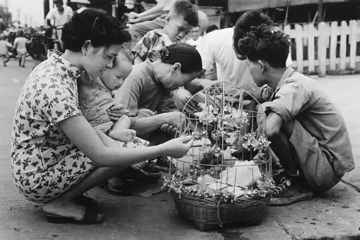 老照片:50年代的台湾生活