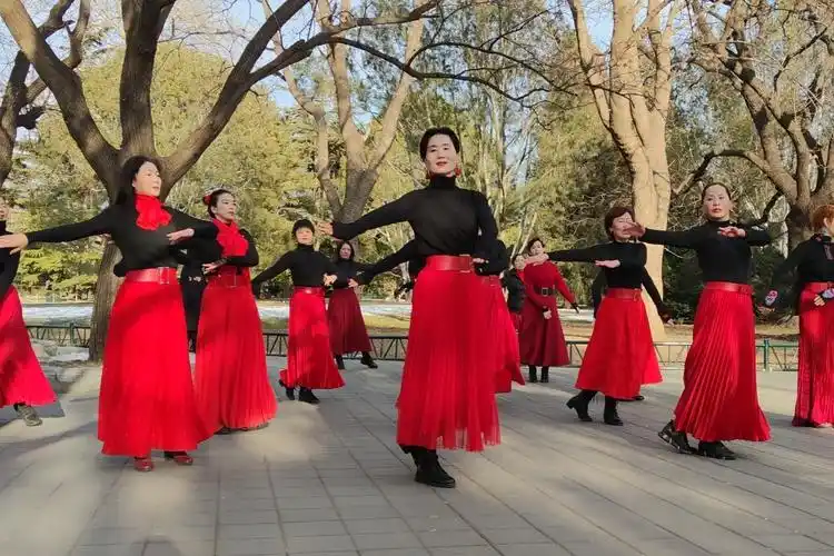 广场舞水兵梦里海蓝蓝歌曲好听舞步整齐魅力朵朵舞蹈队