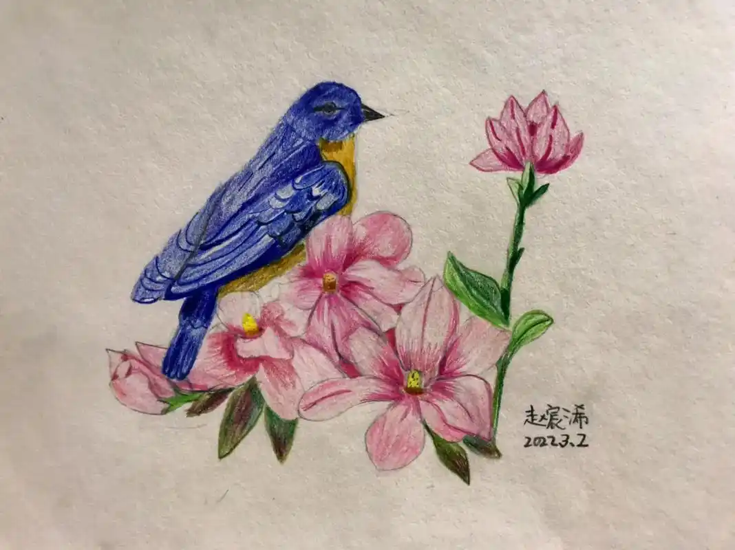 彩铅画作品分享.新的学期,又一批葱创意绘画转到彩铅画的孩子, - 抖音