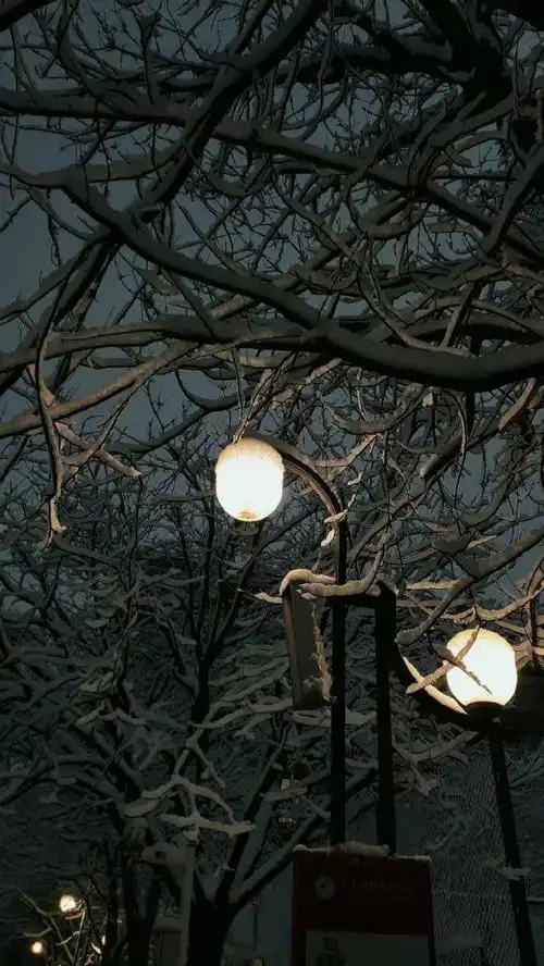 氛围感黑色壁纸 太喜欢了!