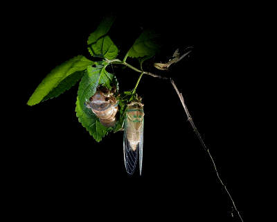 400_320gif 动态图 动图