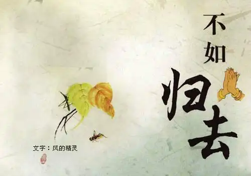 你在我的记忆中刻下了深深铬印,如蜻蜓点水般掠过我心上那片水域,又