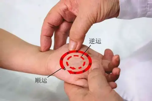 逆运内八卦位置:内八卦在掌心内.