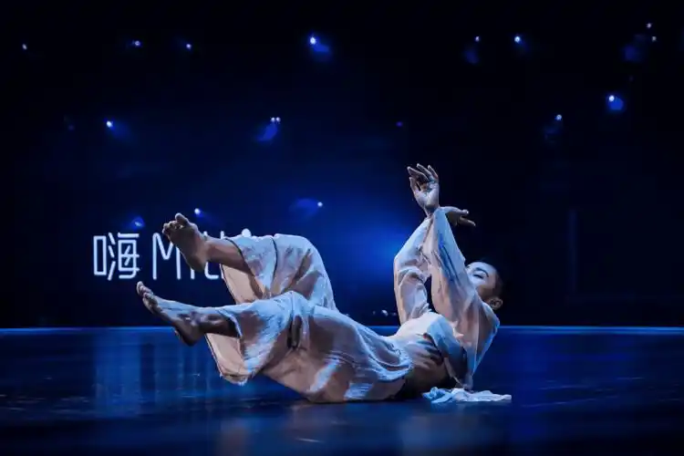 普通大众也能看懂高雅文化舞蹈风暴第二季靠什么打动所有人