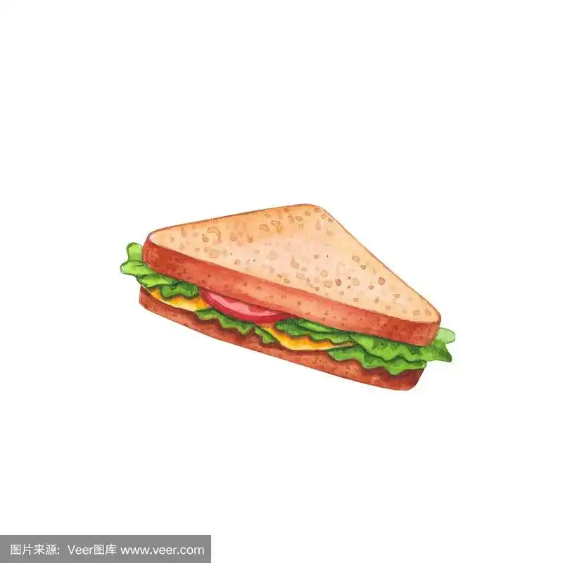 手绘水彩三明治插图